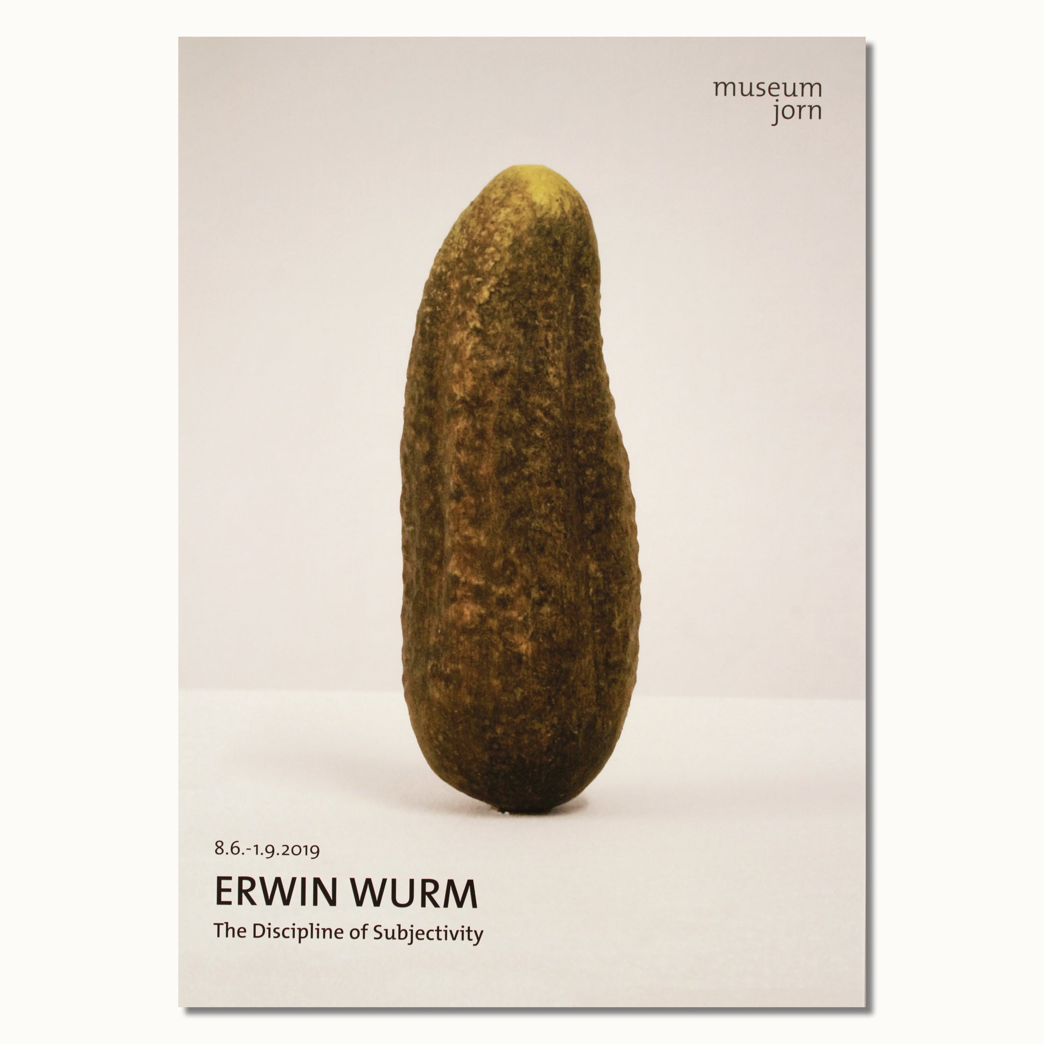 Erwin Wurm, The Discipline of Subjectivity